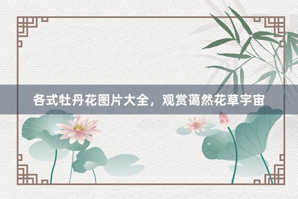 各式牡丹花图片大全，观赏蔼然花草宇宙