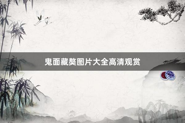 鬼面藏獒图片大全高清观赏
