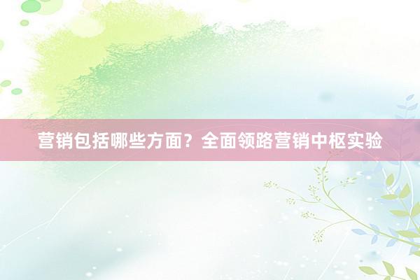 营销包括哪些方面？全面领路营销中枢实验